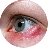 the image