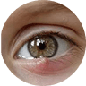 the image