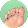 the image